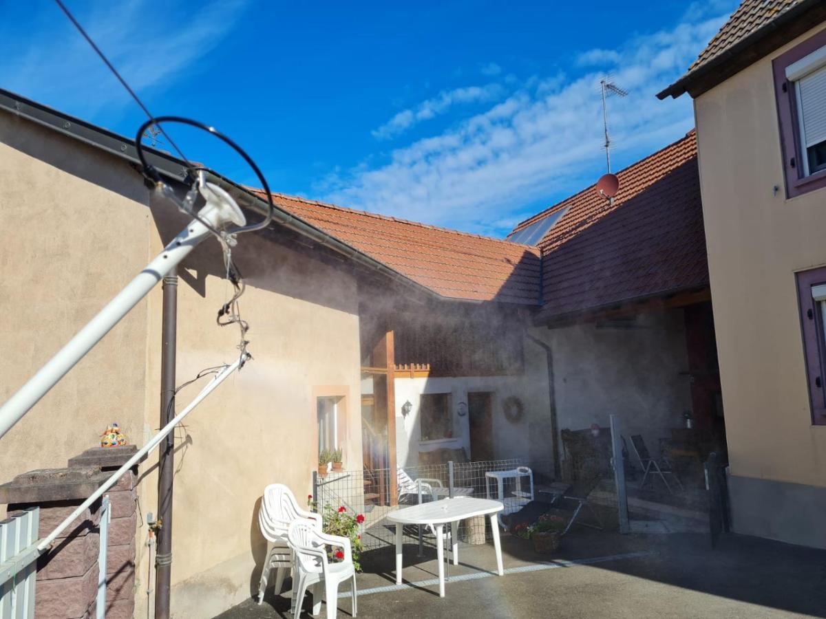 Les Chouchous Du Ried 1 Apartment Saasenheim Luaran gambar